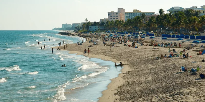 Blue Wave - Atraction (3)