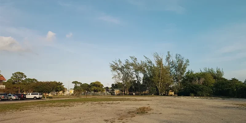 Blue Wave - Evolution (3)